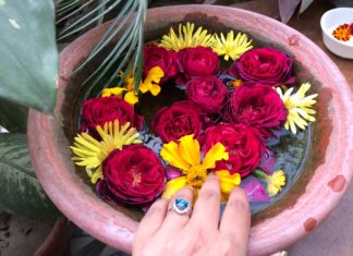 IMG 6347 324x235 - Home