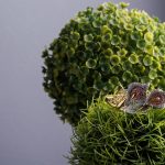 The Best Idyllic Custom Fine Jewellery in Delhi - Kusumavali Jewels by Shefali Agarwal Diamond engament rings 150x150 - The Best Idyllic Custom Fine Jewellery in Delhi - Kusumavali Jewels by Shefali Agarwal